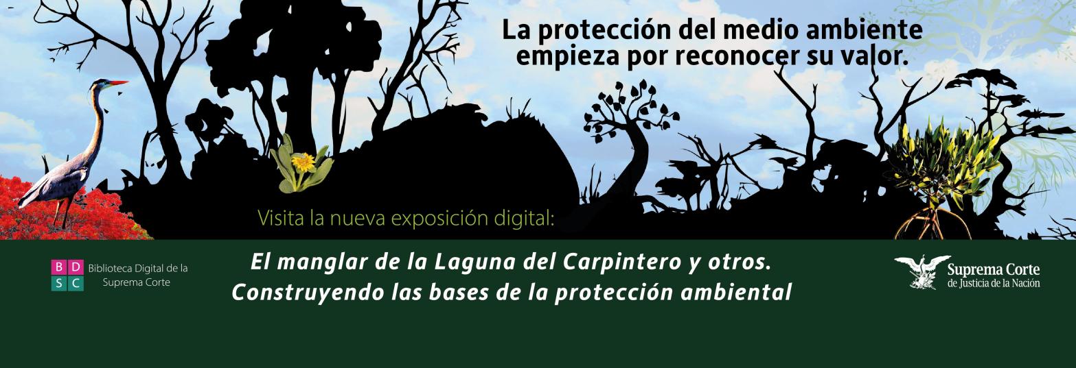El manglar de la Laguna del Carpintero y otros. Construyendo las bases de la protección ambiental