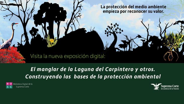 El manglar de la Laguna del Carpintero y otros. Construyendo las bases de la protección ambiental