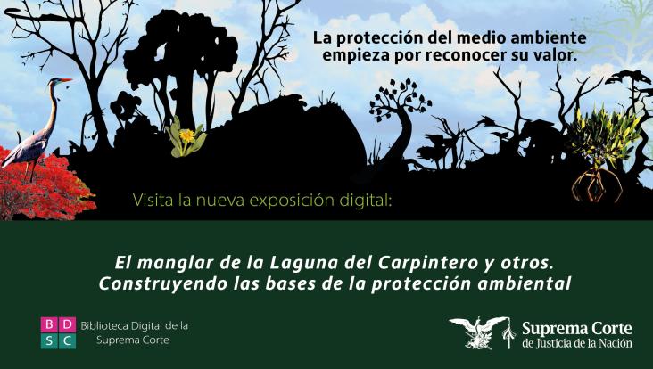 El manglar de la Laguna del Carpintero y otros. Construyendo las bases de la protección ambiental